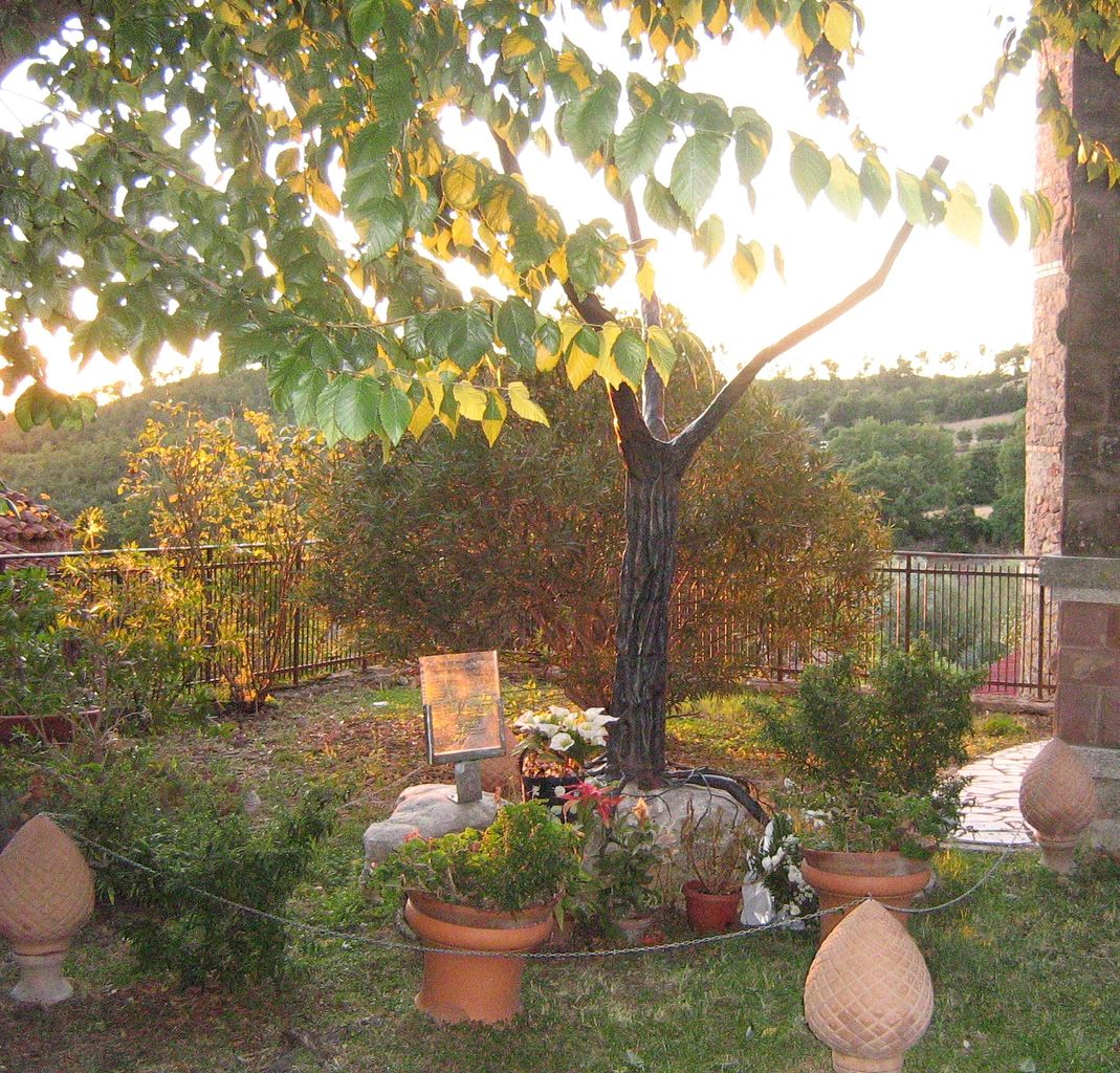 monumento ai caduti - ad albero - bottega pitiglianese (sec. XXI)