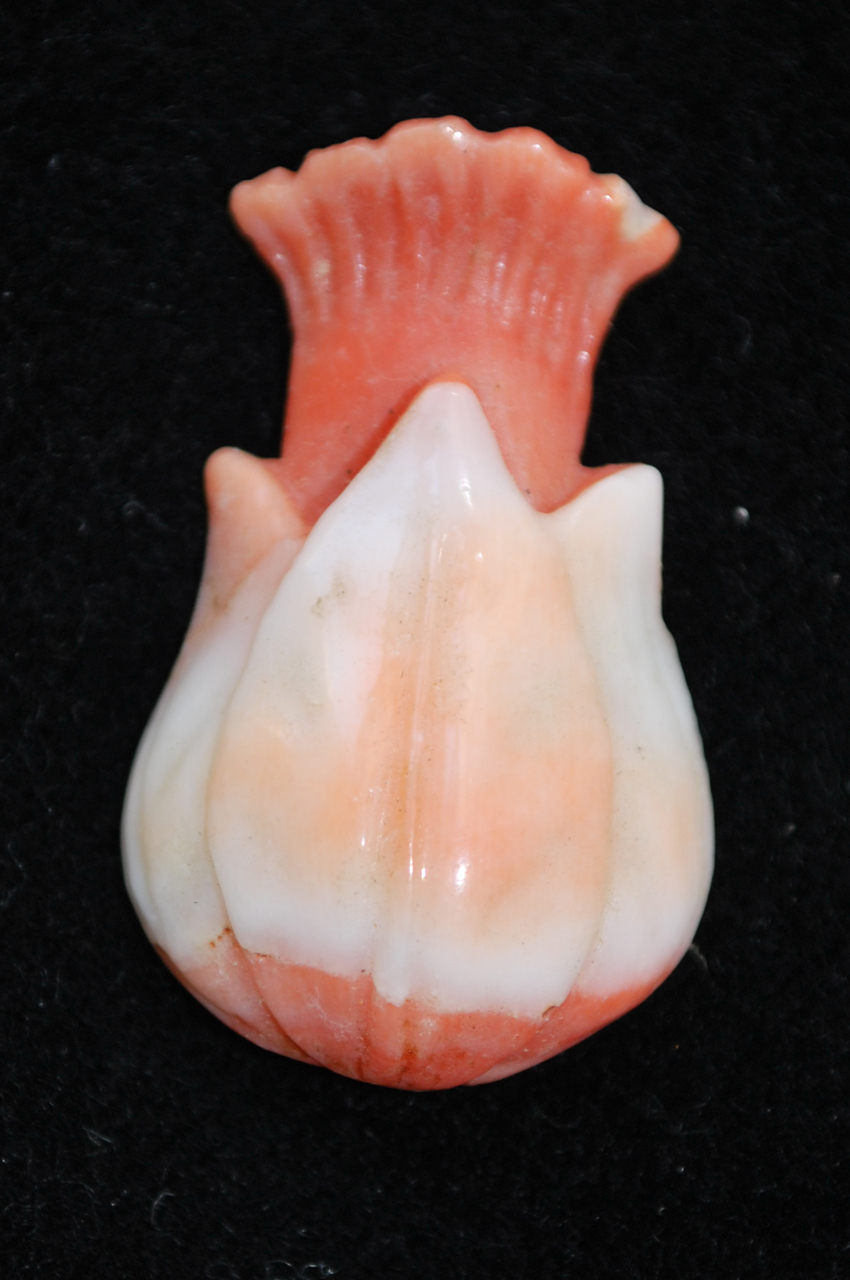 fiore (scultura miniaturistica) - scuola del corallo di Torre del Greco (primo quarto sec. XX)