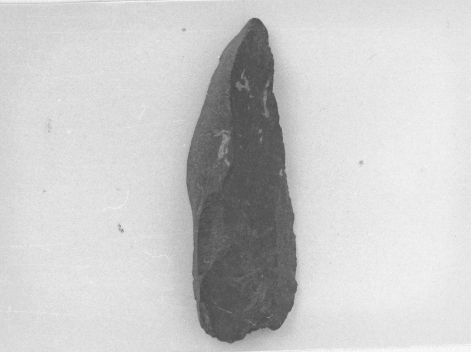 coltello, a dorso naturale (Paleolitico medio)