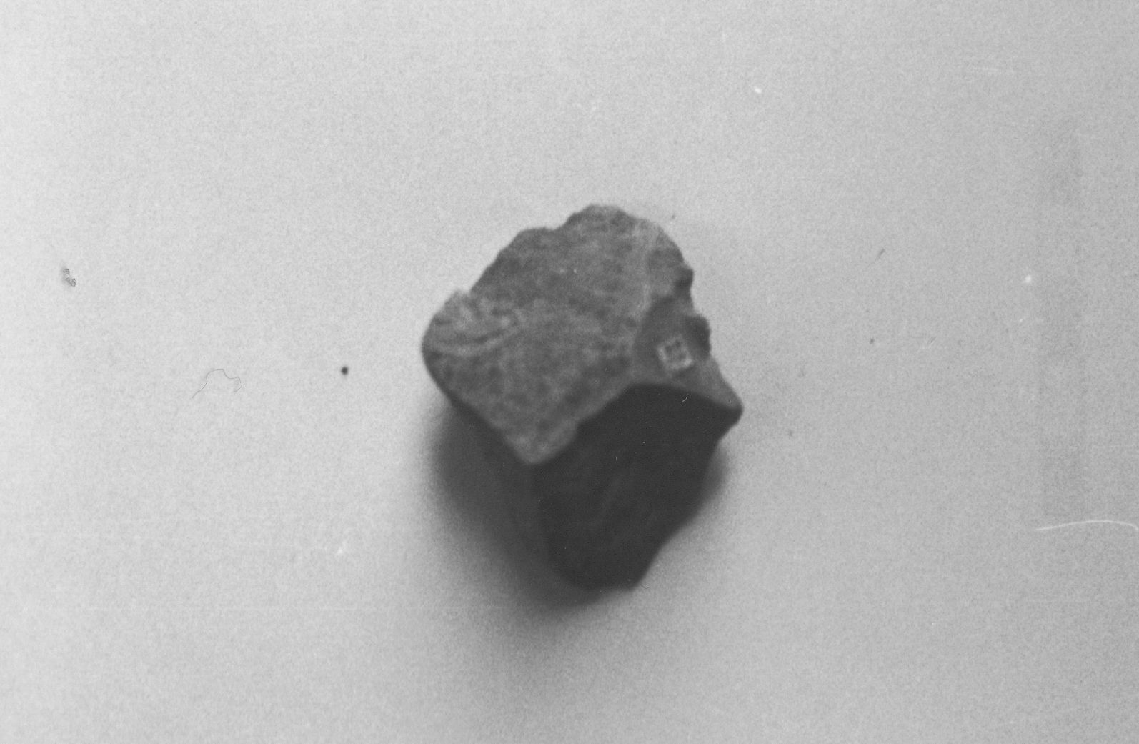 grattatoio, csrenato (inizio Paleolitico medio)