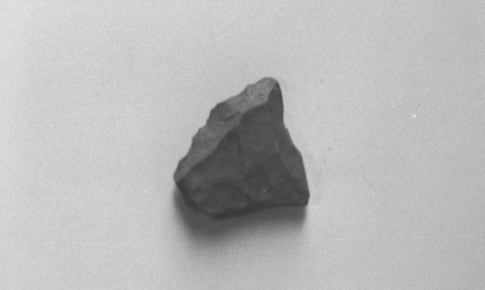 becco (inizio Paleolitico medio)