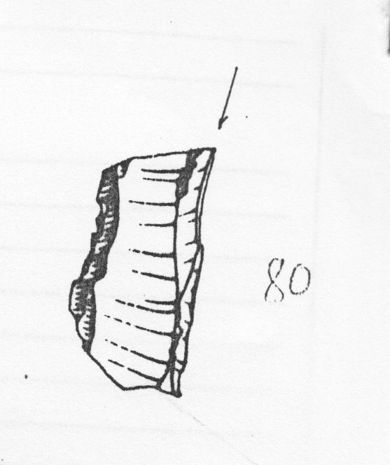 bulino, su frattura prossimale (Epigravettiano finale)