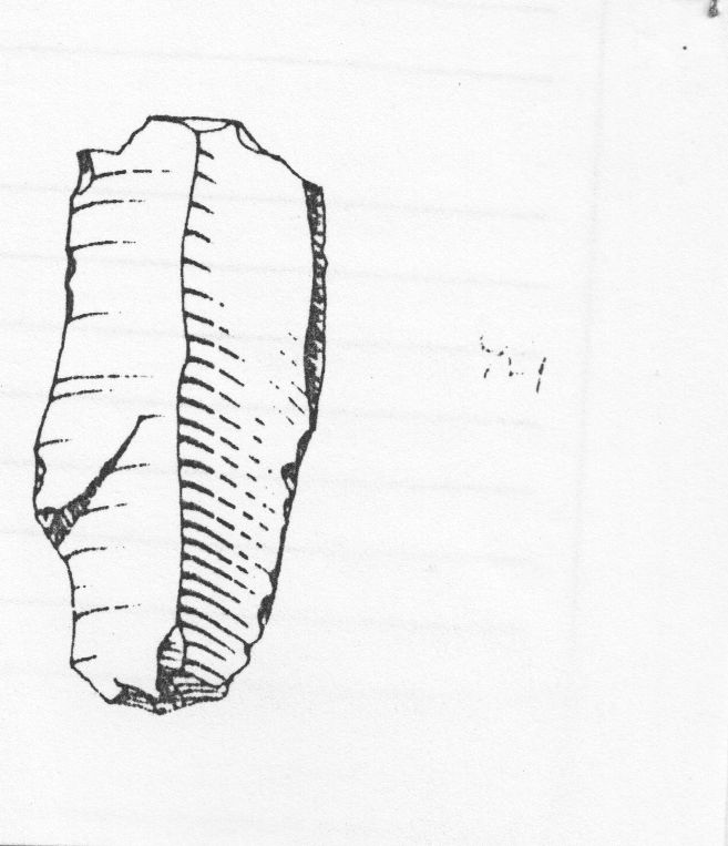 lama, -raschiatoio a ritocco marginale bilaterale (Gravettiano finale)