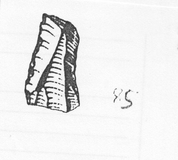 lama, a ritocco marginale sinistro (Gravettiano finale)