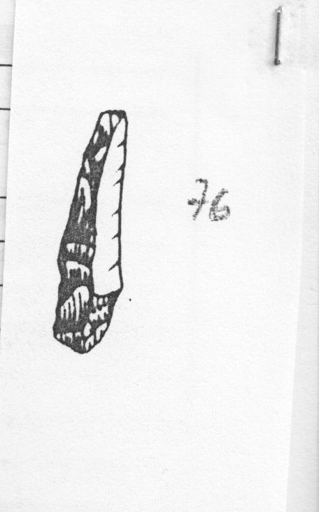 ravvivamento (Gravettiano evoluto)