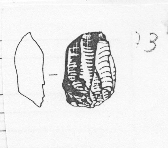nucleo prismatico (Gravettiano evoluto)