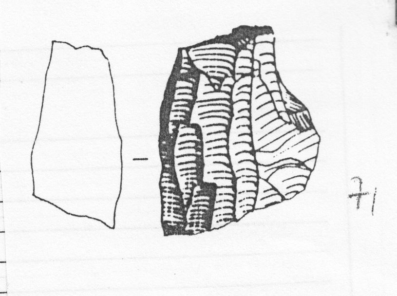 nucleo prismatico (Gravettiano evoluto)