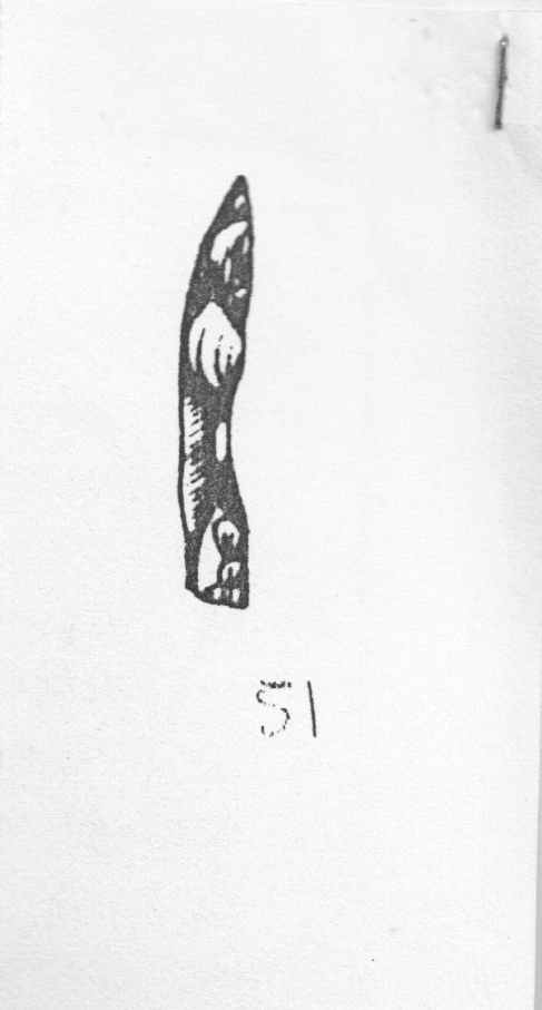 ravvivamento (Aurignaziano)