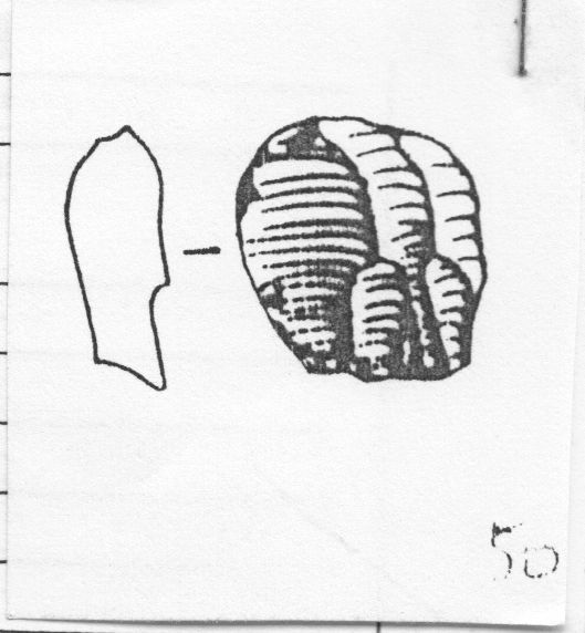 nucleo prismatico (Aurignaziano)