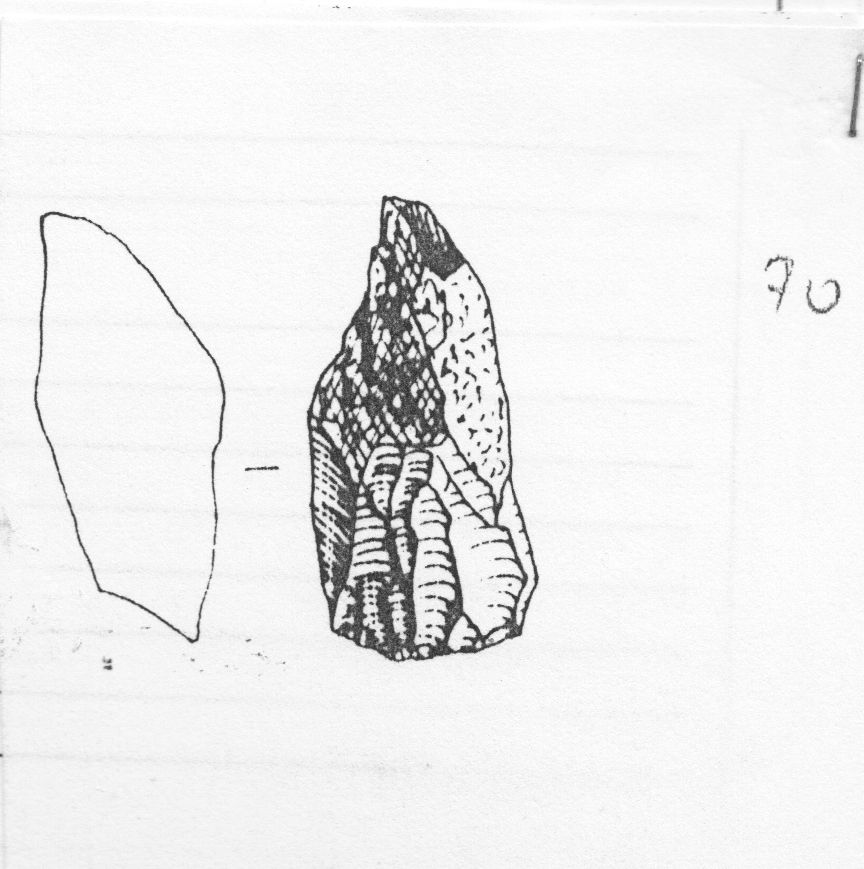 nucleo prismatico (Gravettiano evoluto)