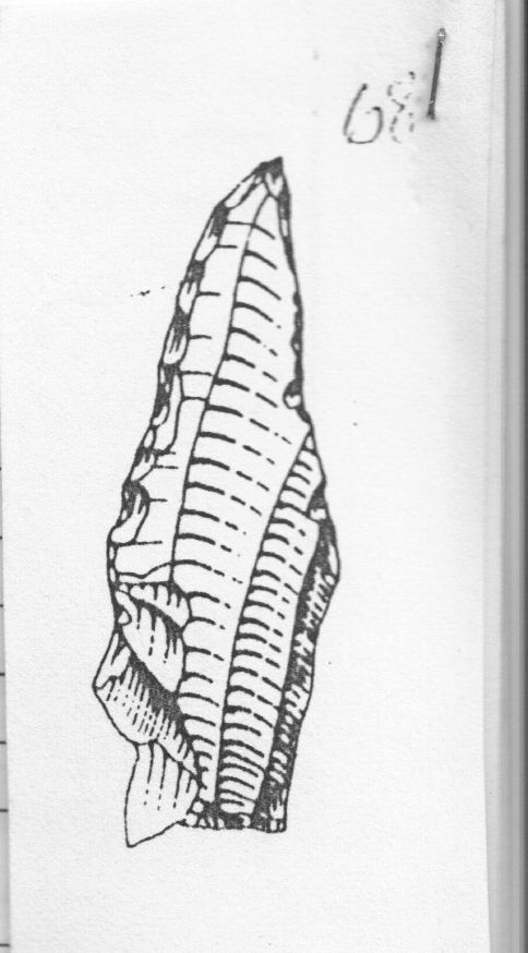 punta diritta (Gravettiano evoluto)