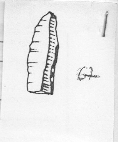 lama, a dorso parziale (Gravettiano evoluto)