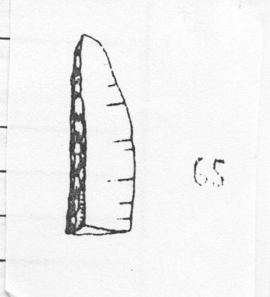 lama, a dorso (Gravettiano evoluto)