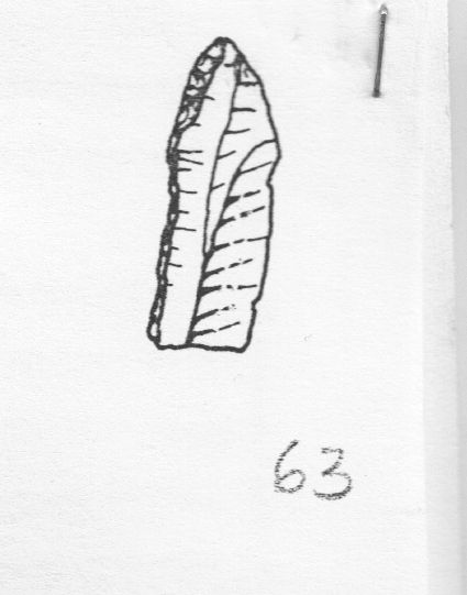 lama, a dorso (Gravettiano evoluto)