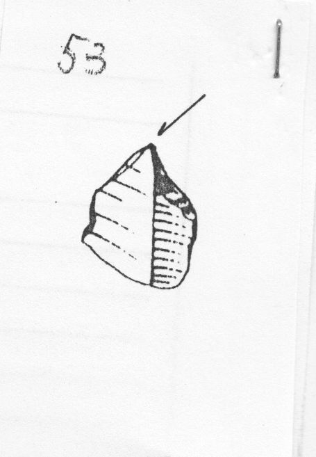 bulino, su troncatura ad incavo d'arresto (Gravettiano evoluto)