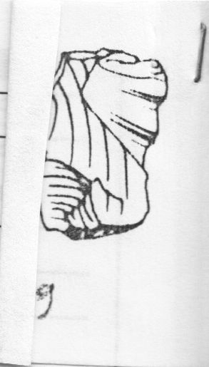 ravvivamento (Protoaurignaziano)