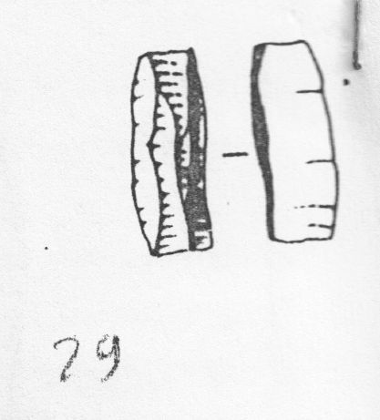 lama, a dorso (Protoaurignaziano)