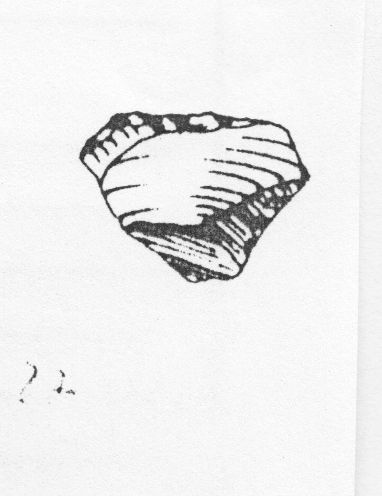 grattatoio, a muso isolato déjetèe (Protoaurignaziano)