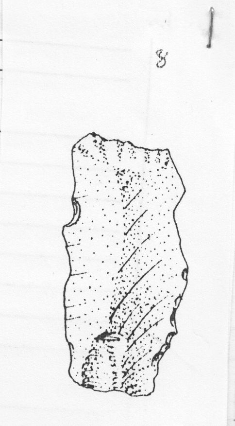 denticolato, doppio (Paleolitico medio)