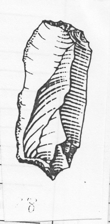 grattatoio, frontale (Protoaurignaziano)