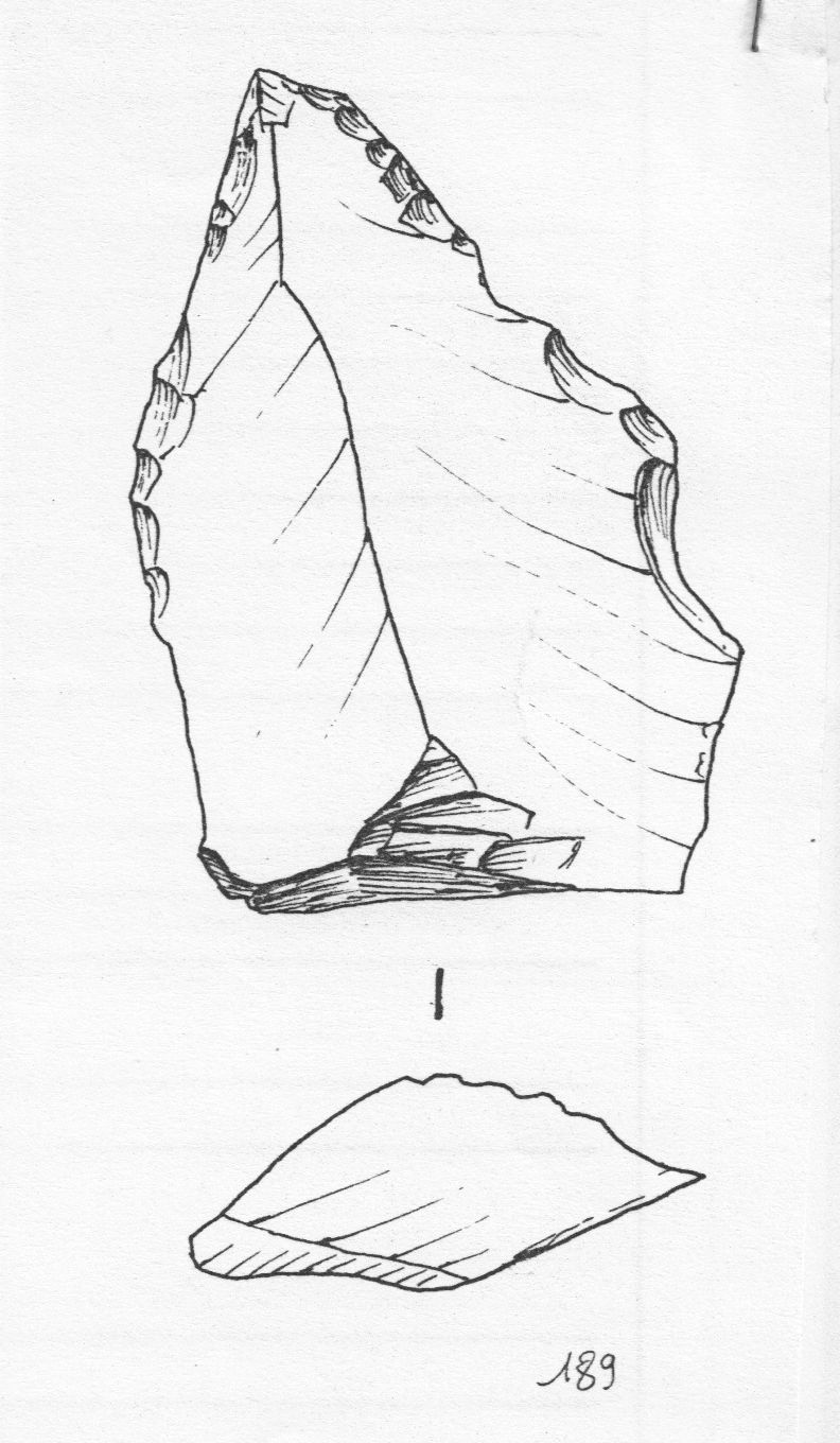 punta, musteriana (Paleolitico medio)