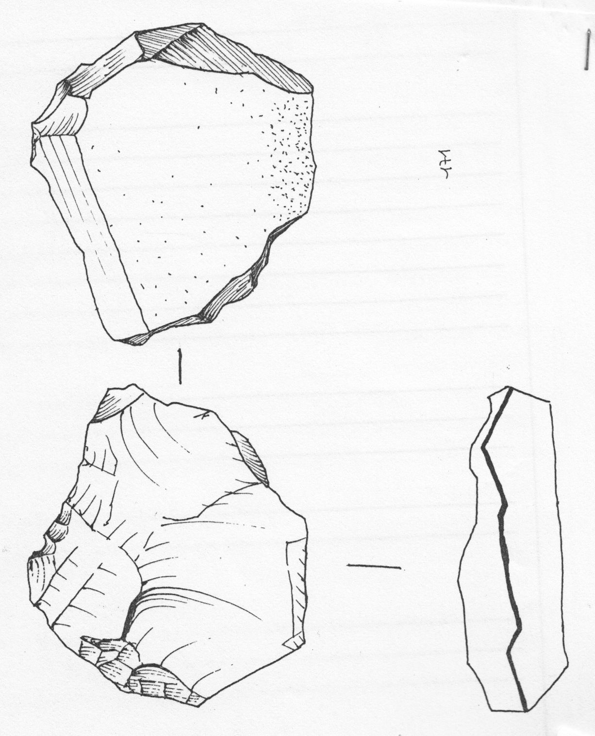 nucleo, discoidale (Paleolitico medio)