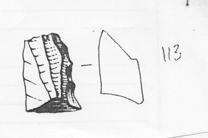 nucleo, prismatico (Epigravettiano)