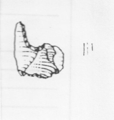 incavo (Epigravettiano)