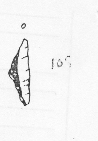 triangolo, isoscele (Epigravettiano finale)