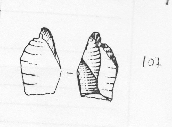 microbulino, distale (Epigravettiano finale)