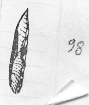 punta, a dorso profondo e totale (Epigravettiano finale)