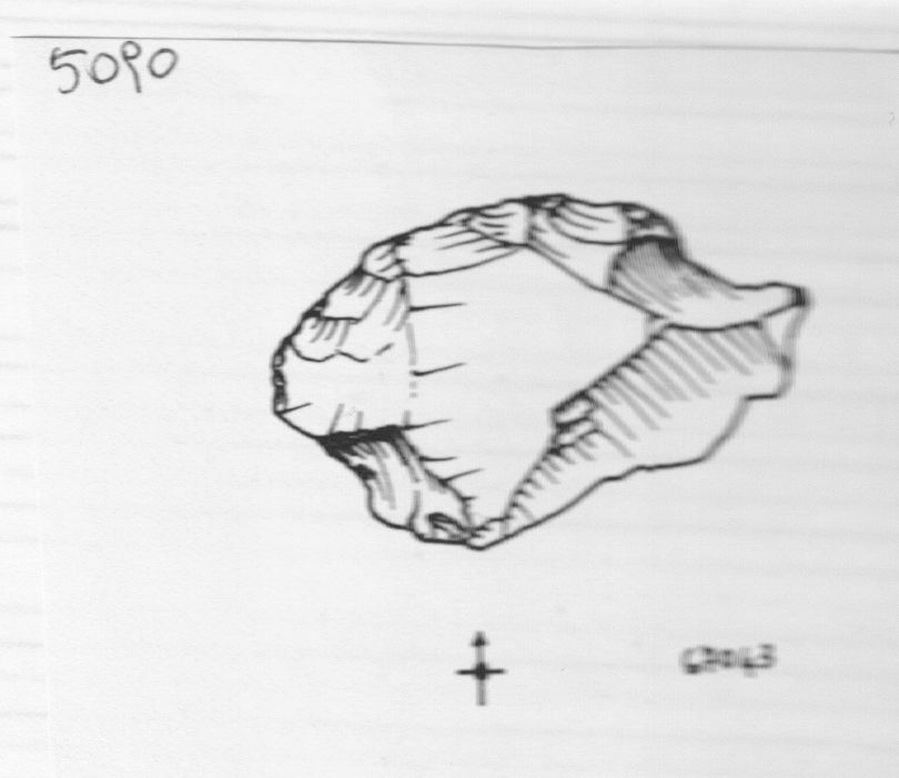 raschiatoio, trasversale convesso (inizio Paleolitico medio)