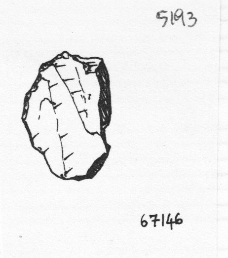 raschiatoio, raschiatoio semplice convesso (inizio Paleolitico medio)