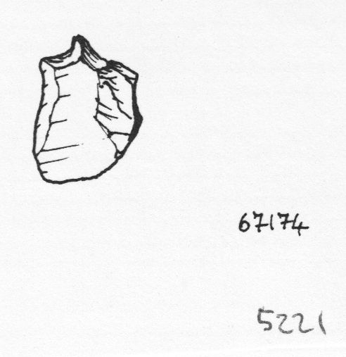 becco, perforatore (inizio Paleolitico medio)