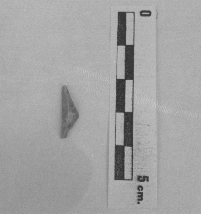 triangolo, triangolo isoscele (Epigravettiano Paleolitico superiore)