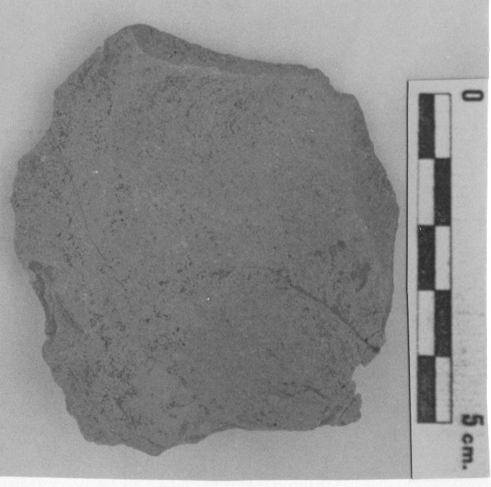 scheggia, scheggia Levallois tipica (inizio Paleolitico medio)