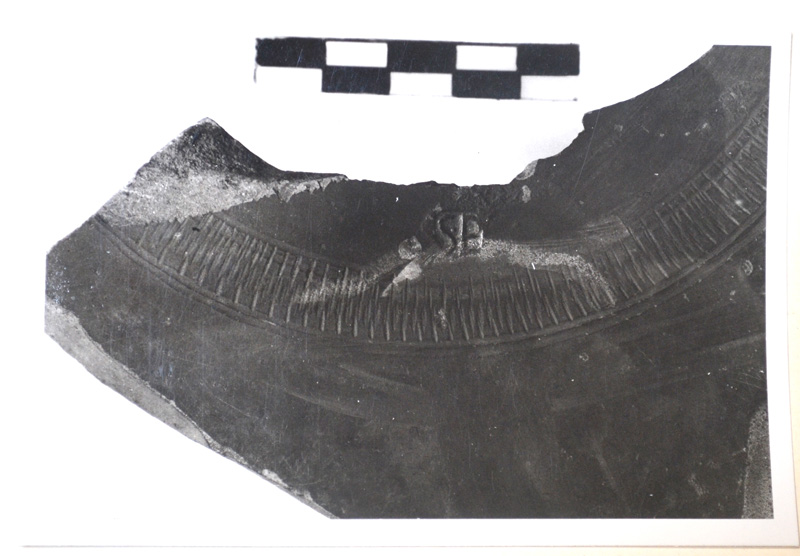 ruota della carretta, strumento per la lavorazione del marmo - italiano (secc. XIX/ XX)