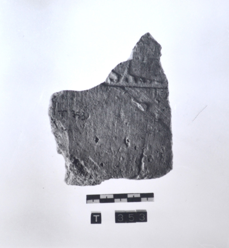 tegola (non rilevata)