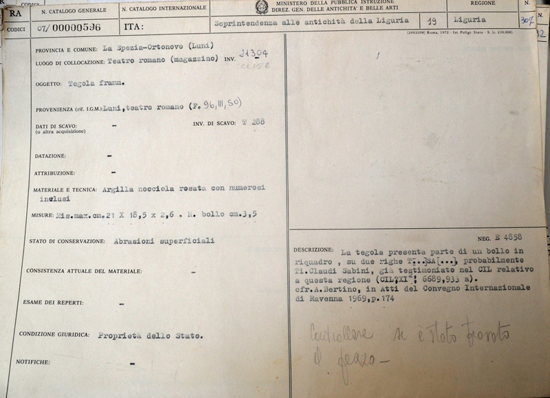 tegola (non rilevata)