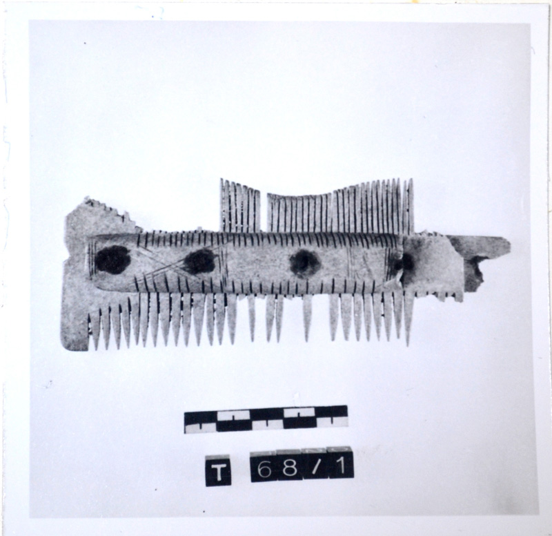 pettine (non rilevata)