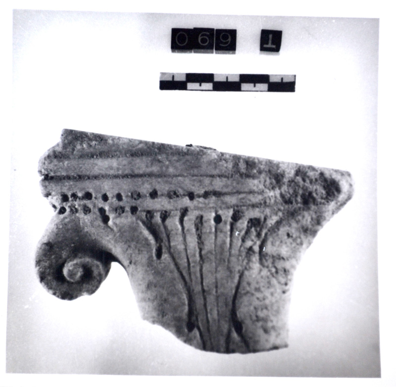 capitellino (non rilevata)