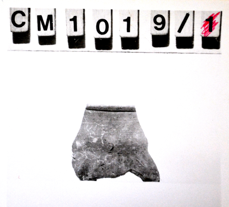 urnetta (non rilevata)