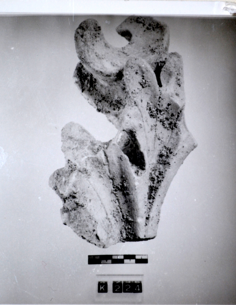 capitello (età giulio claudia sec. I d.C)