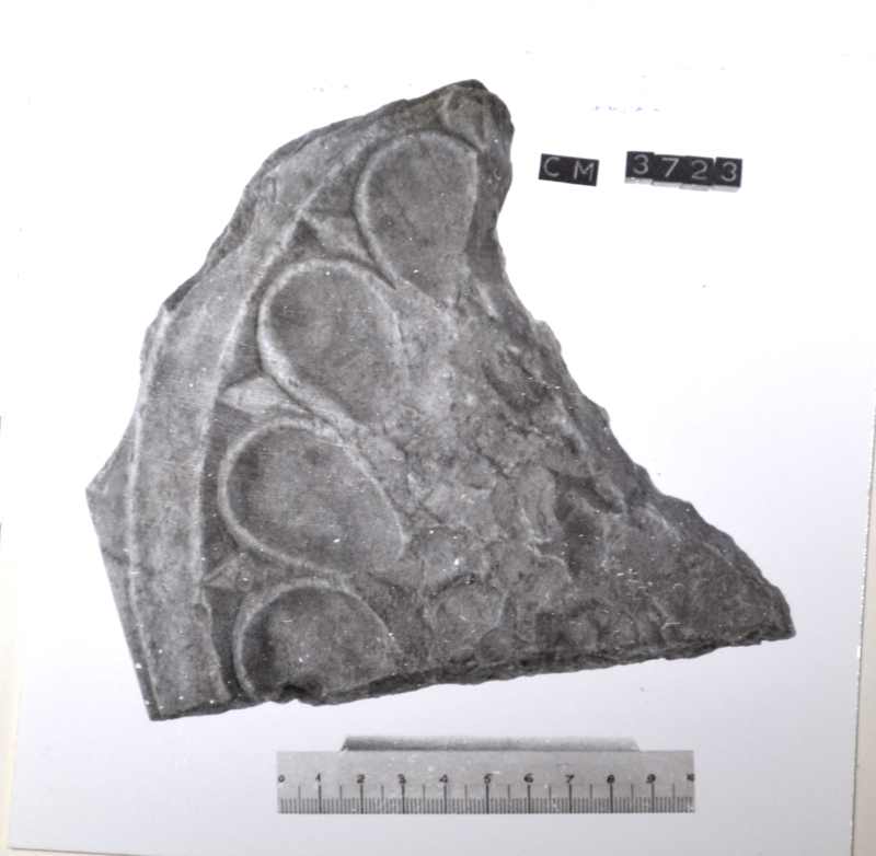 colonnina (secc. I-IId.C)