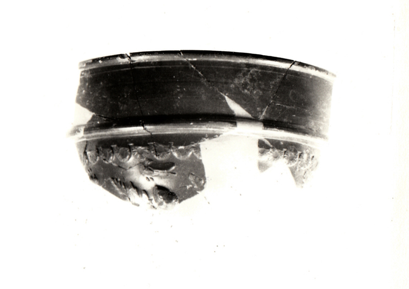 calice, Dragendorff 11, orlo, parete - ambito di Cn. Ateius (età tiberiana sec. I d.C)