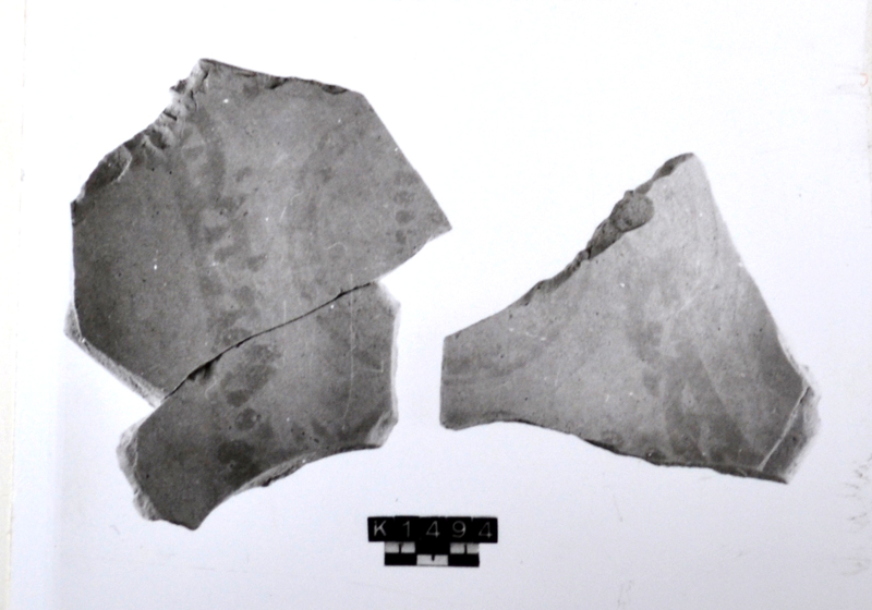 ciotola, fondo, parete (età imperiale romana)