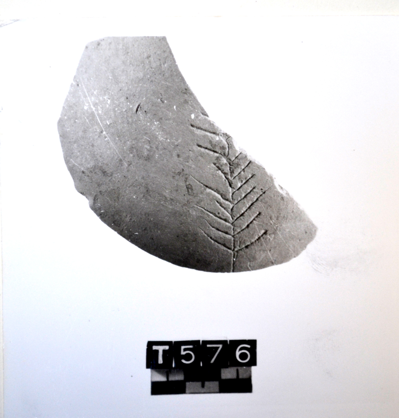 olpe, parete (età romana)