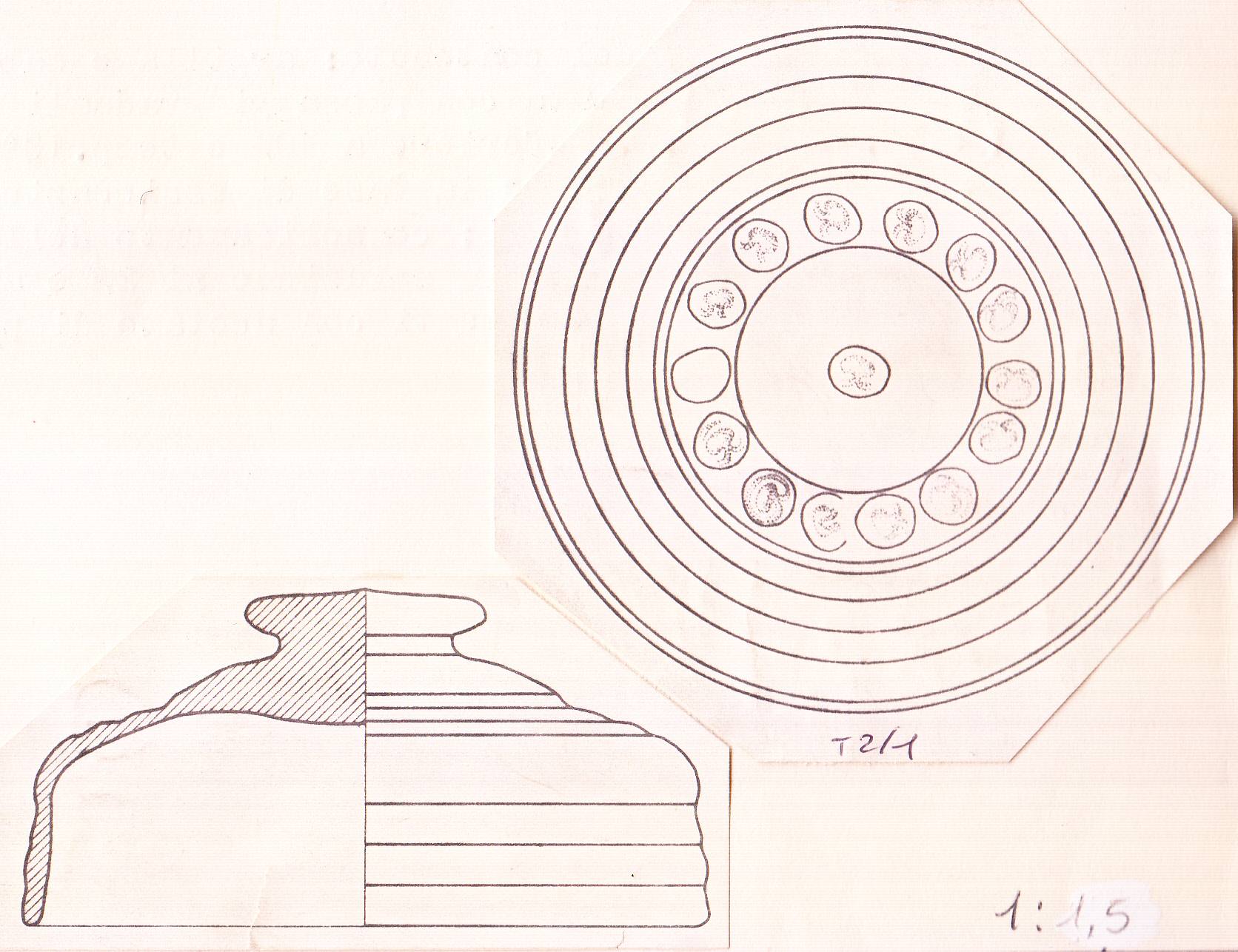 coperchio (prima metà III a.C)