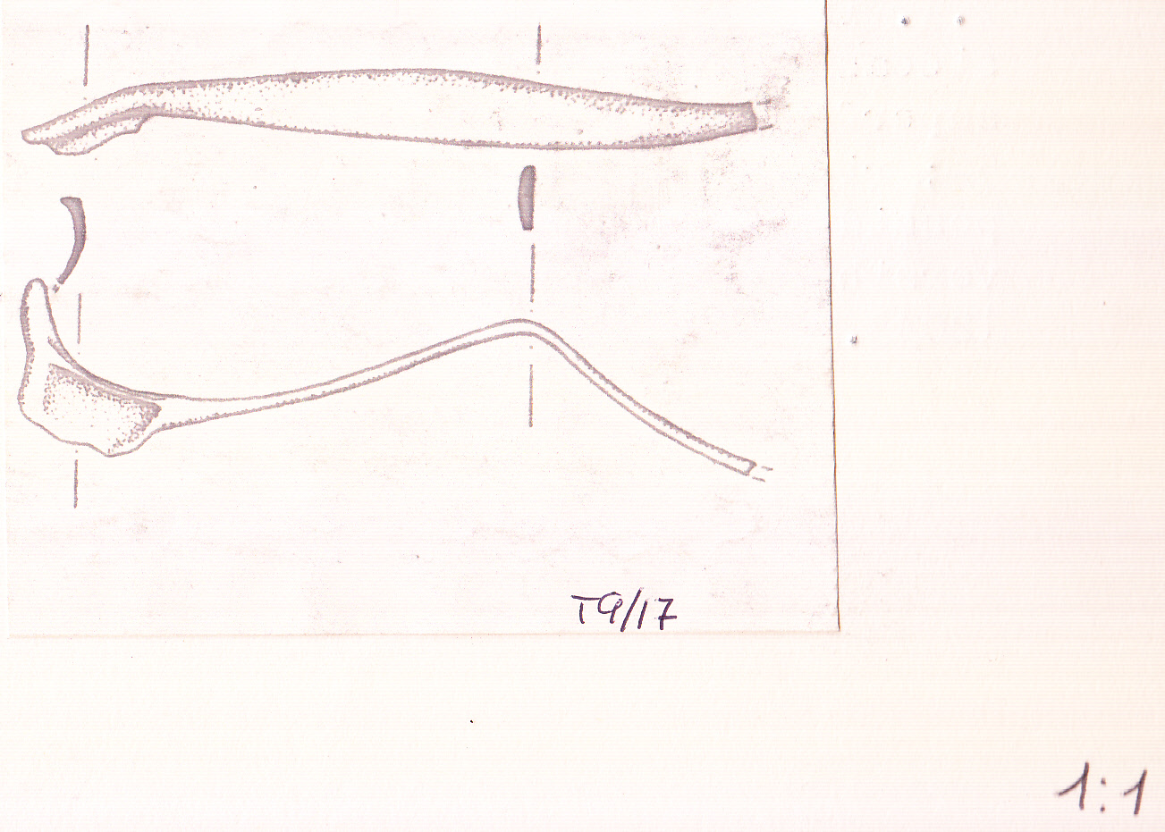fibula (prima metà III a.C)