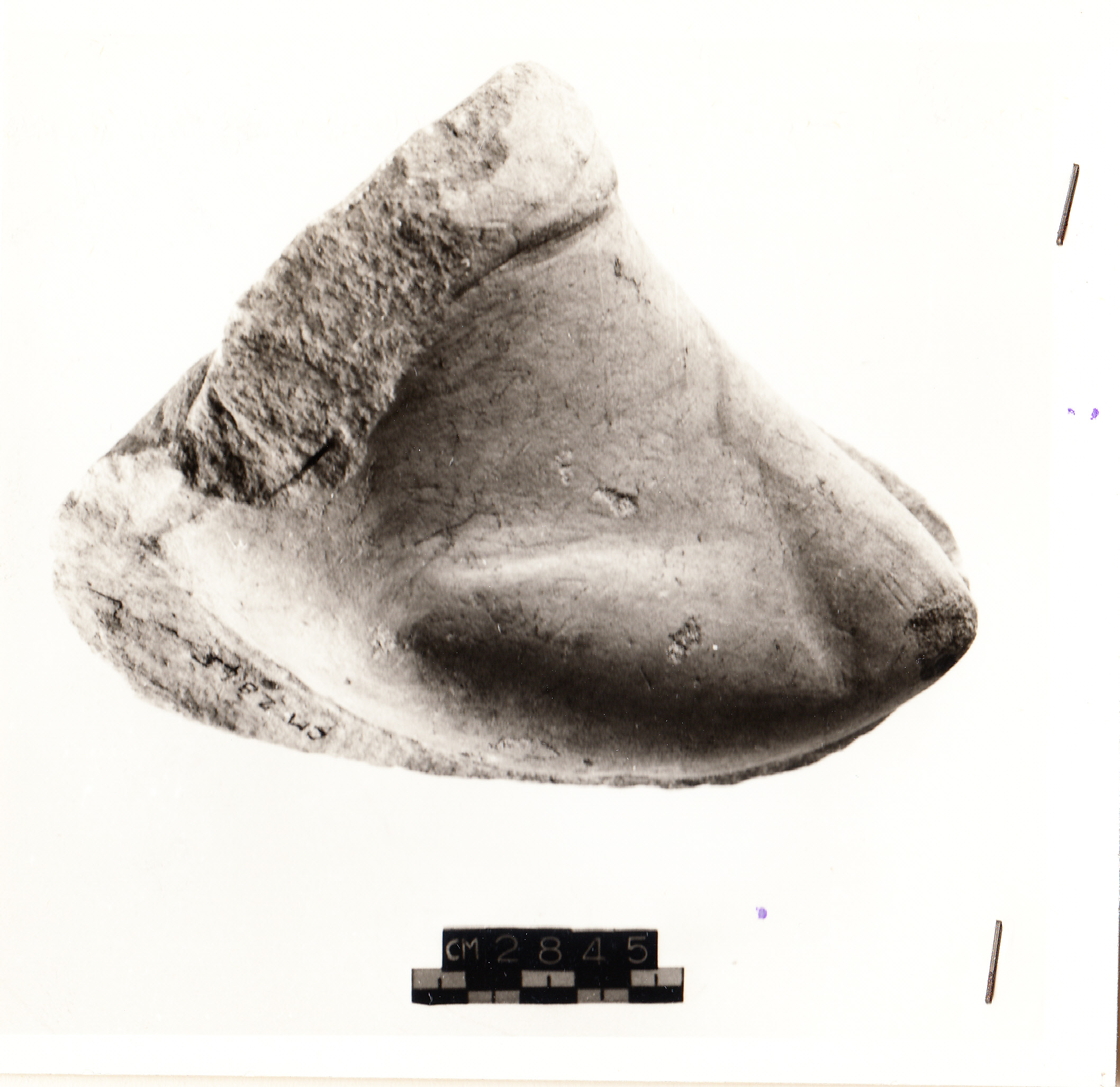 piede (età imperiale romana)